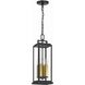 Aspen 4 Light 6.5 inch Matte Black Outdoor Pendant