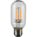 T45 LED E26 4.00 watt Light Bulb