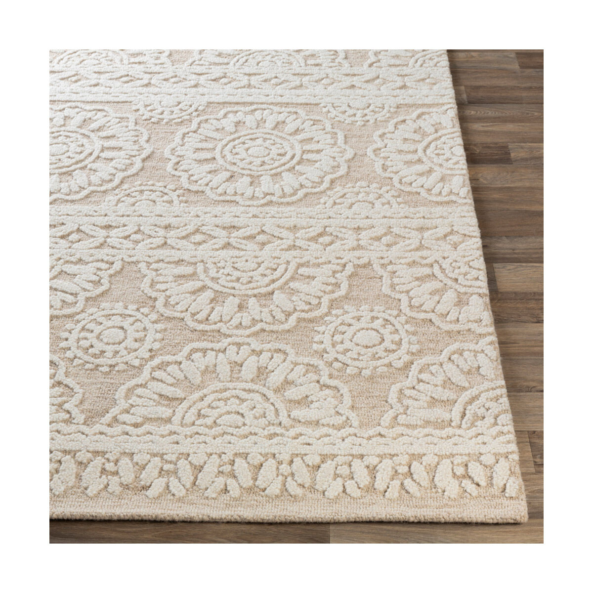 Scott 90 X 60 inch Light Beige Rug, Rectangle