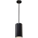 Radiance Collection 1 Light 7 inch Carbon Matte Black with Matte Black Pendant Ceiling Light