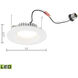 Axel Integrated LED White Down Light