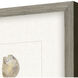 Oyster Shell Shell Series Beige and Neutral Framed Art