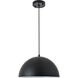 Forte 1 Light 14 inch Black Pendant Ceiling Light