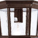 Dover 1 Light 11 inch Burled Walnut Exterior Flushmount