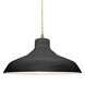 Radiance 1 Light 13.5 inch Gloss Black and Antique Brass Pendant Ceiling Light