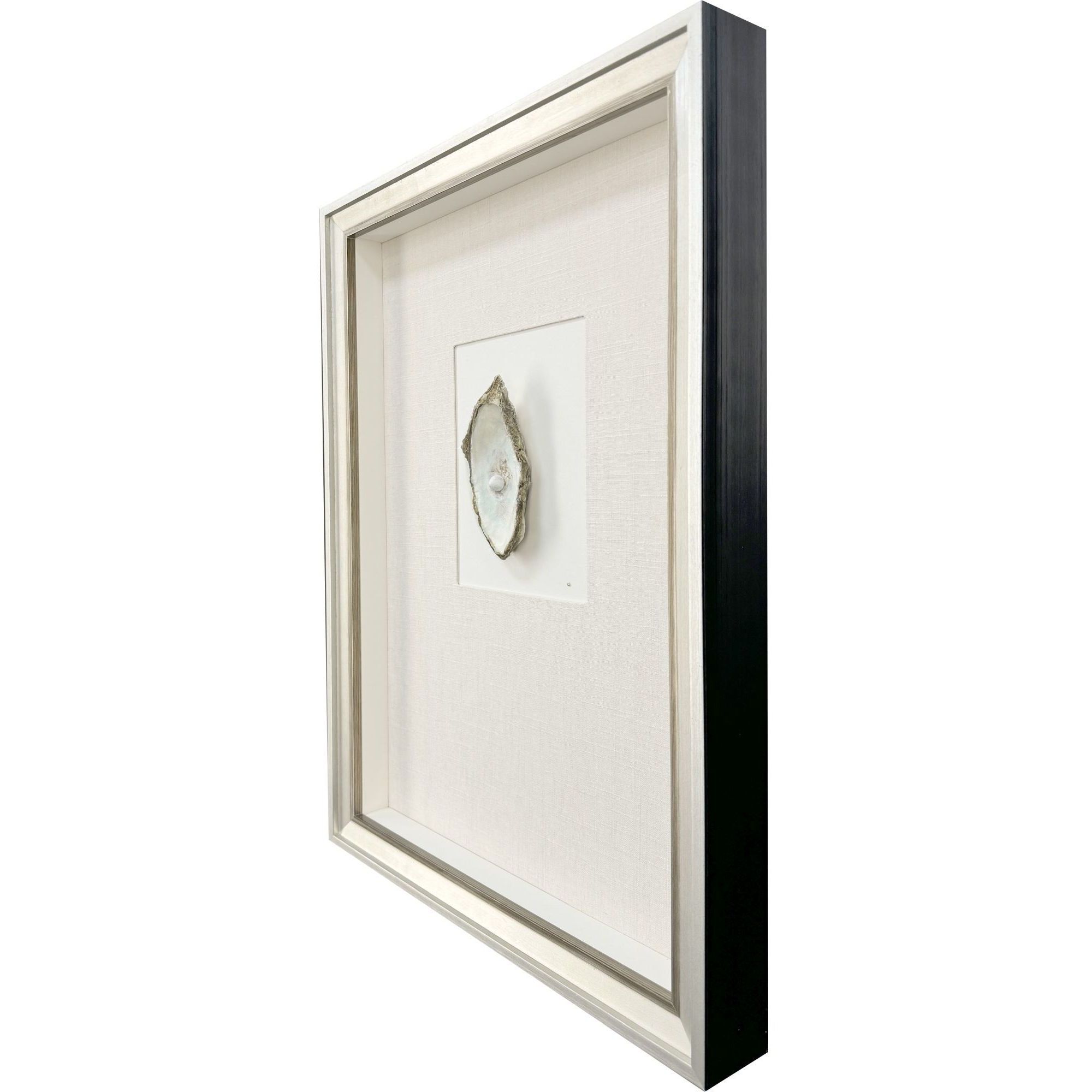 Oyster in Paradise Beige and Blue and Neutral and Turquoise Framed Art