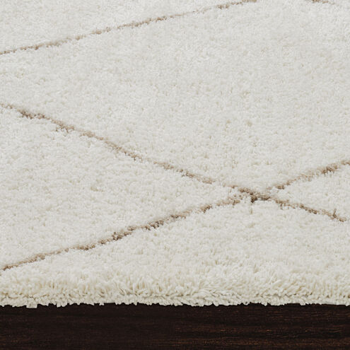 Allen 48 X 36 inch Off-White and Champagne Indoor Rug, 3’ x 4’ ft