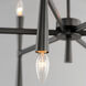 Rome 12 Light 29 inch Black Chandelier Ceiling Light