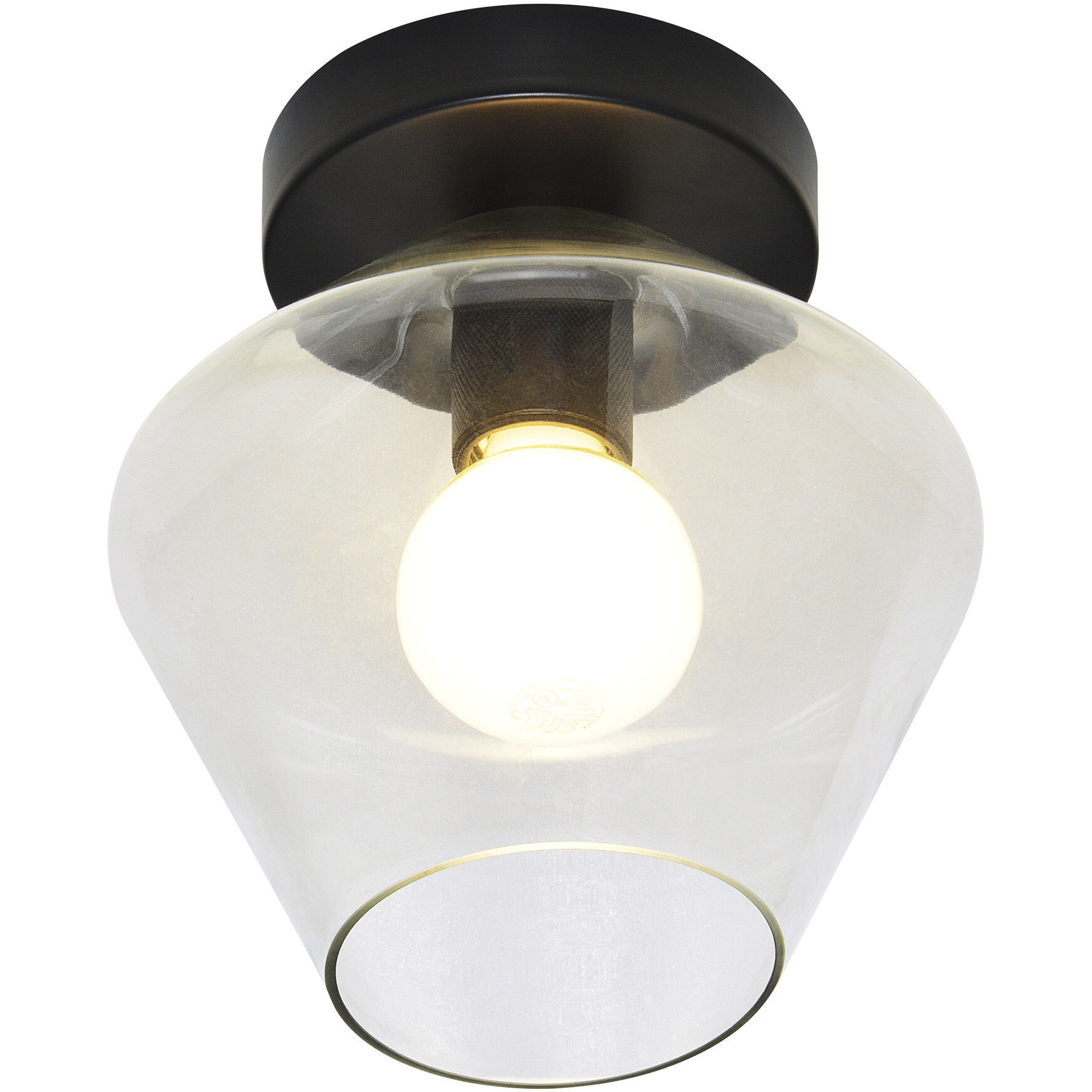 Aziza LED 8.75 inch Matte Black and Clear Flush Mount Ceiling Light