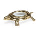 Chelsea House Polished Brass/Magnified Turtle Magnifier Accent