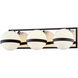 Ace 3 Light 20 inch Carbide Black With Polished Nickel Accents Bath And Vanity Wall Light