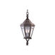 Dante 4 Light 15 inch Natural Rust Outdoor Pendant