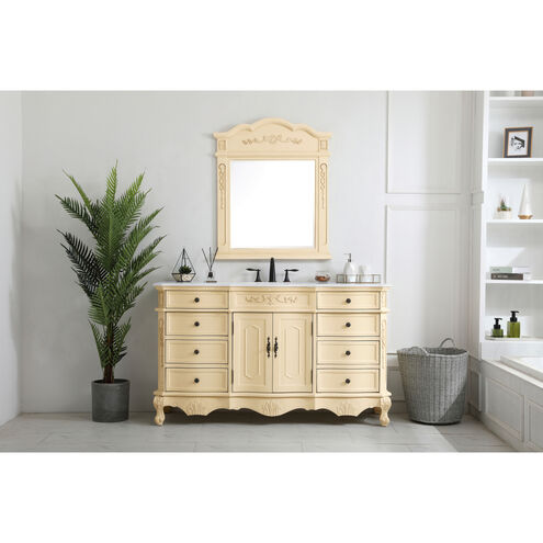 Danville 60 X 21 X 36 inch Light Antique Beige Vanity Sink Set