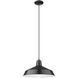 Alcove 1 Light 16 inch Matte Black Pendant Ceiling Light