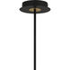 Azalea LED 40 inch Matte Black Island Light Ceiling Light