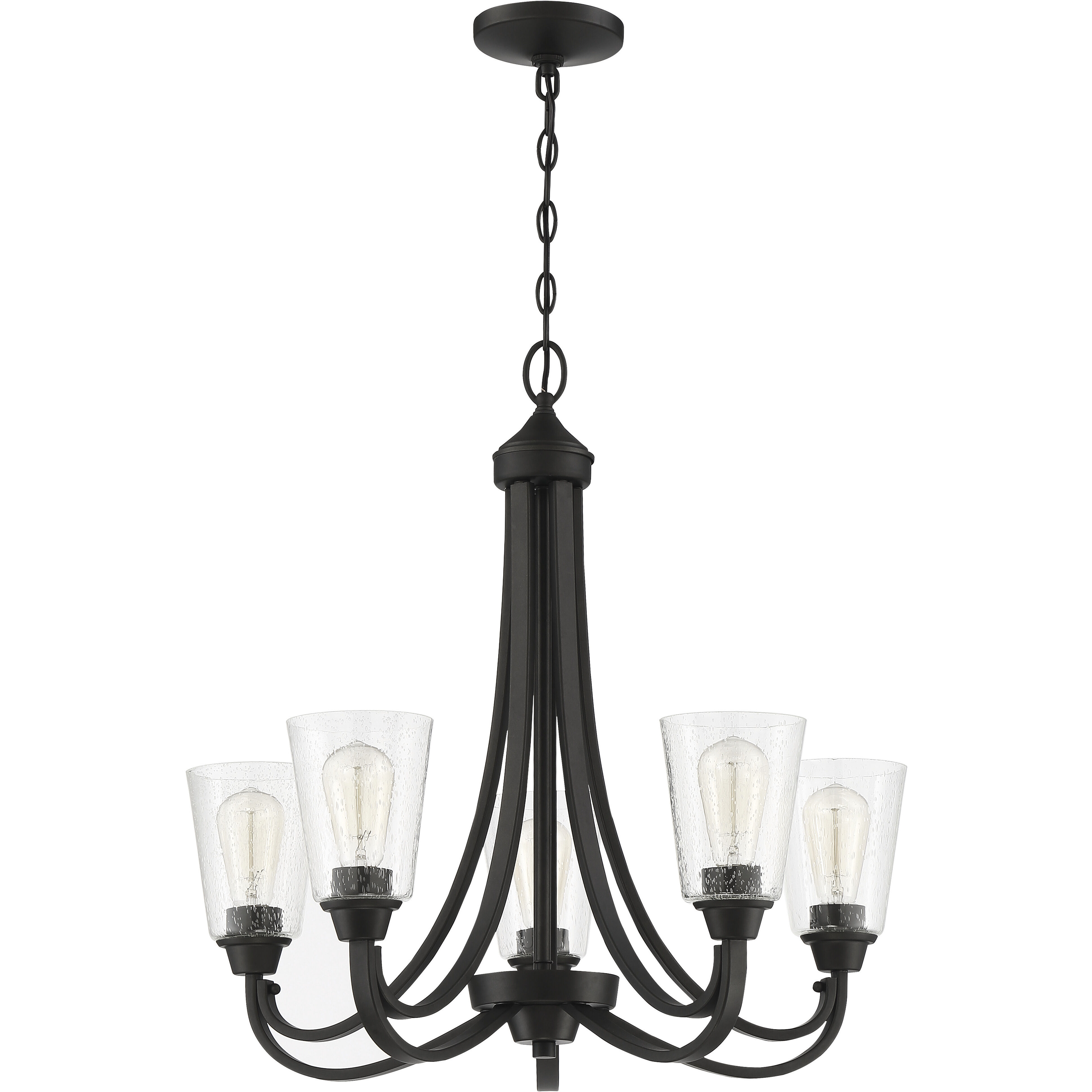 Neighborhood Grace 5 Light 26 inch Espresso Chandelier Ceiling Light in Clear Seeded, Neighborhood Collection