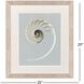 Neutral Nautilus Gray and Beige and Multi and Neutral Framed Art, Propac
