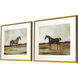 Equestrian Multi and Beige and Brown and Green Framed Art