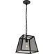 Talon 1 Light 11.8 inch Matte Black Pendant Ceiling Light