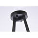 Jeanne 2 Light 13 inch Black Flush Mount Ceiling Light