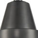 Franklin Restoration Caden LED 8 inch Matte Black Flush Mount Ceiling Light in Seedy Glass