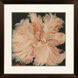 Secret Garden I Red and Pink and Brown and Beige Framed Art, Propac