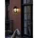 Albert 1 Light 18.5 inch Black Outdoor Wall Sconce