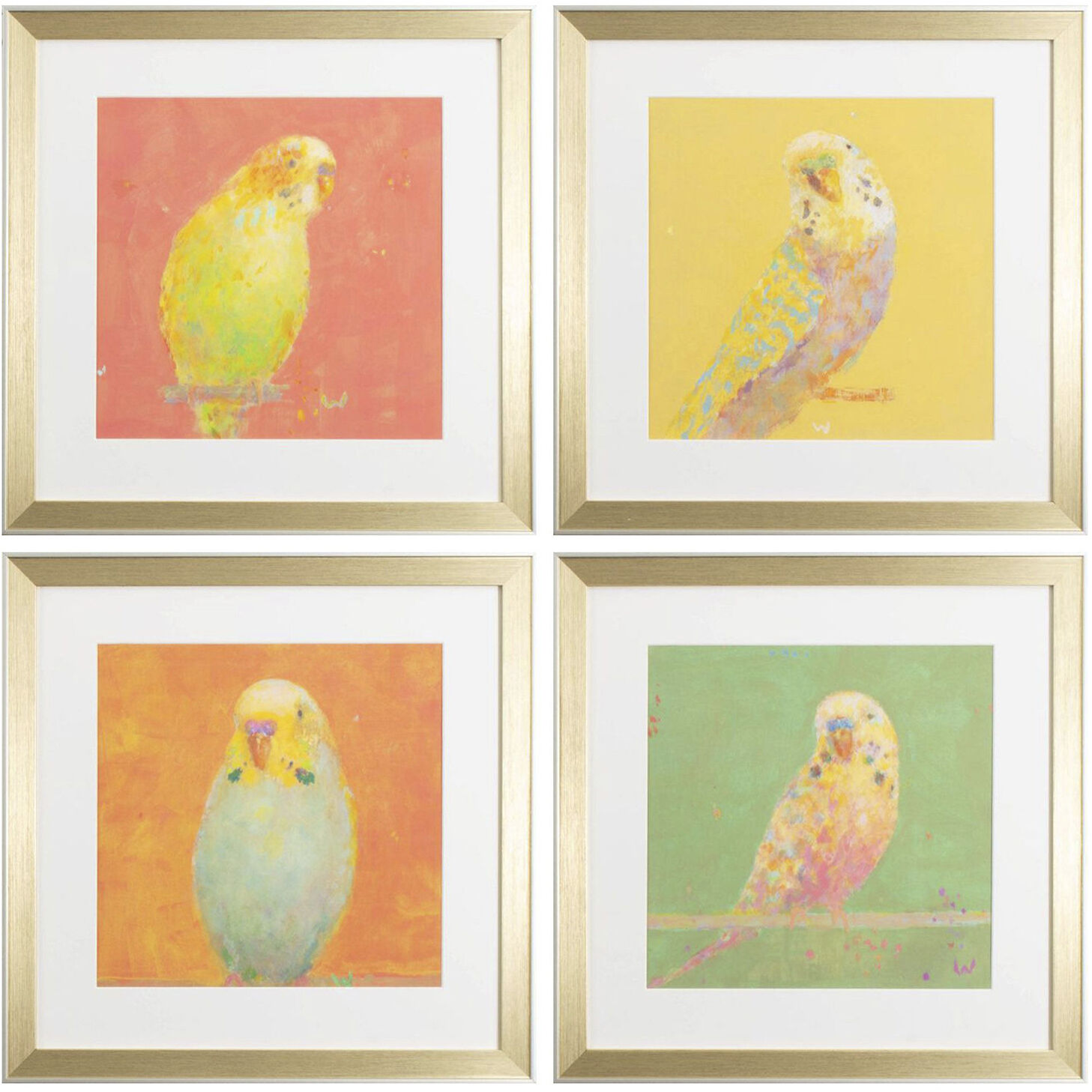 Colorful Bird Green and Yellow and Red and Blue Framed Art, Propac