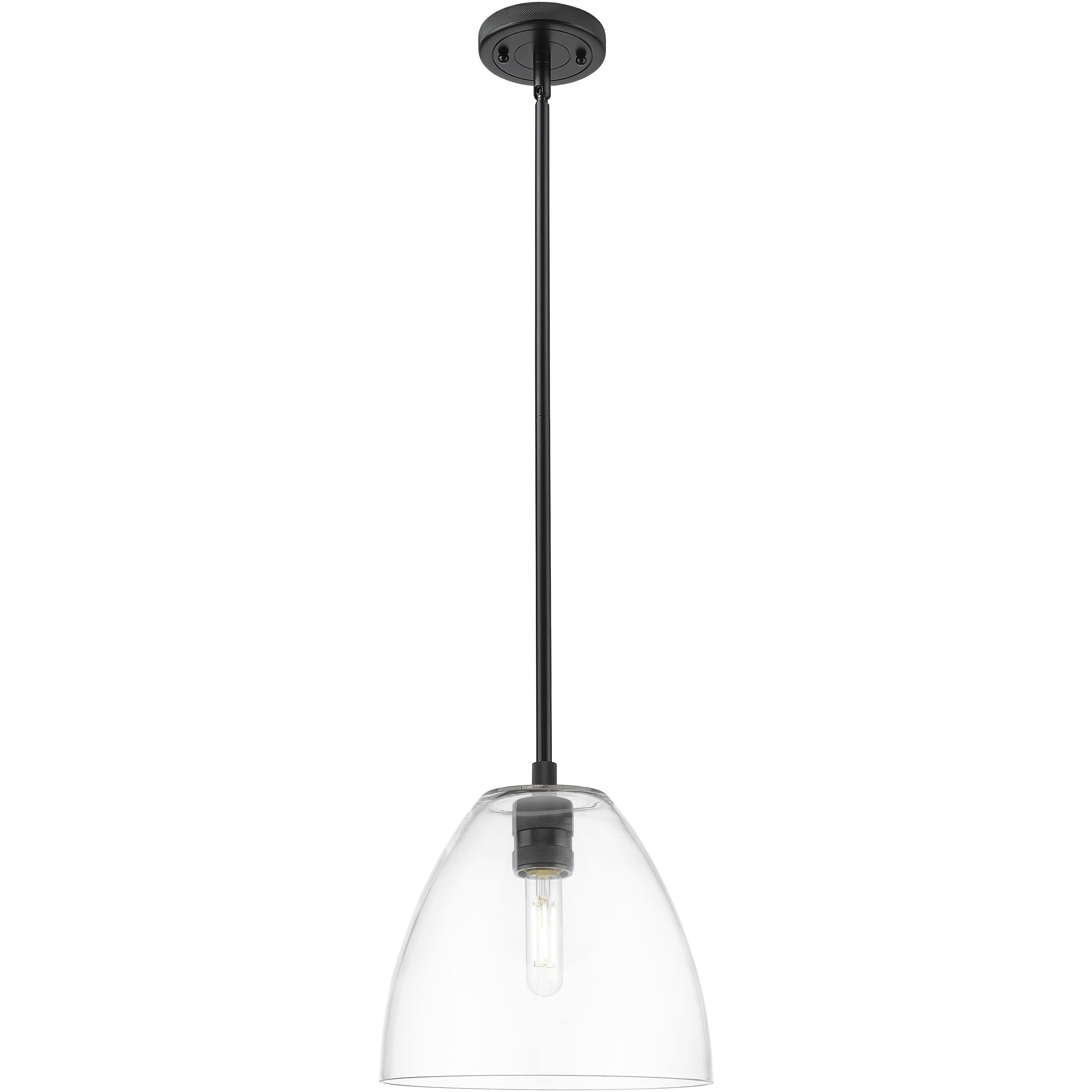 Crown Point 1 Light 9 inch Matte Black Pendant Ceiling Light in Clear Glass