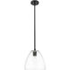 Crown Point 1 Light 9 inch Matte Black Pendant Ceiling Light in Clear Glass