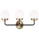 Ian K. Fowler Cafe LED 21.75 inch Satin Brass Wall Bath Fixture Wall Light