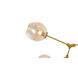 Canada 5 Light 17 inch Gold Chandelier Ceiling Light