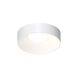 Ilios LED 14 inch Satin White Surface Mount Ceiling Light