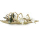 Curling Decorative Orchid