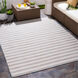 Pasadena 59 X 31 inch Camel; Multicolored Rug in 3 x 5