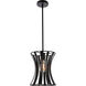 Lily 1 Light 10 inch Black Pendant Ceiling Light