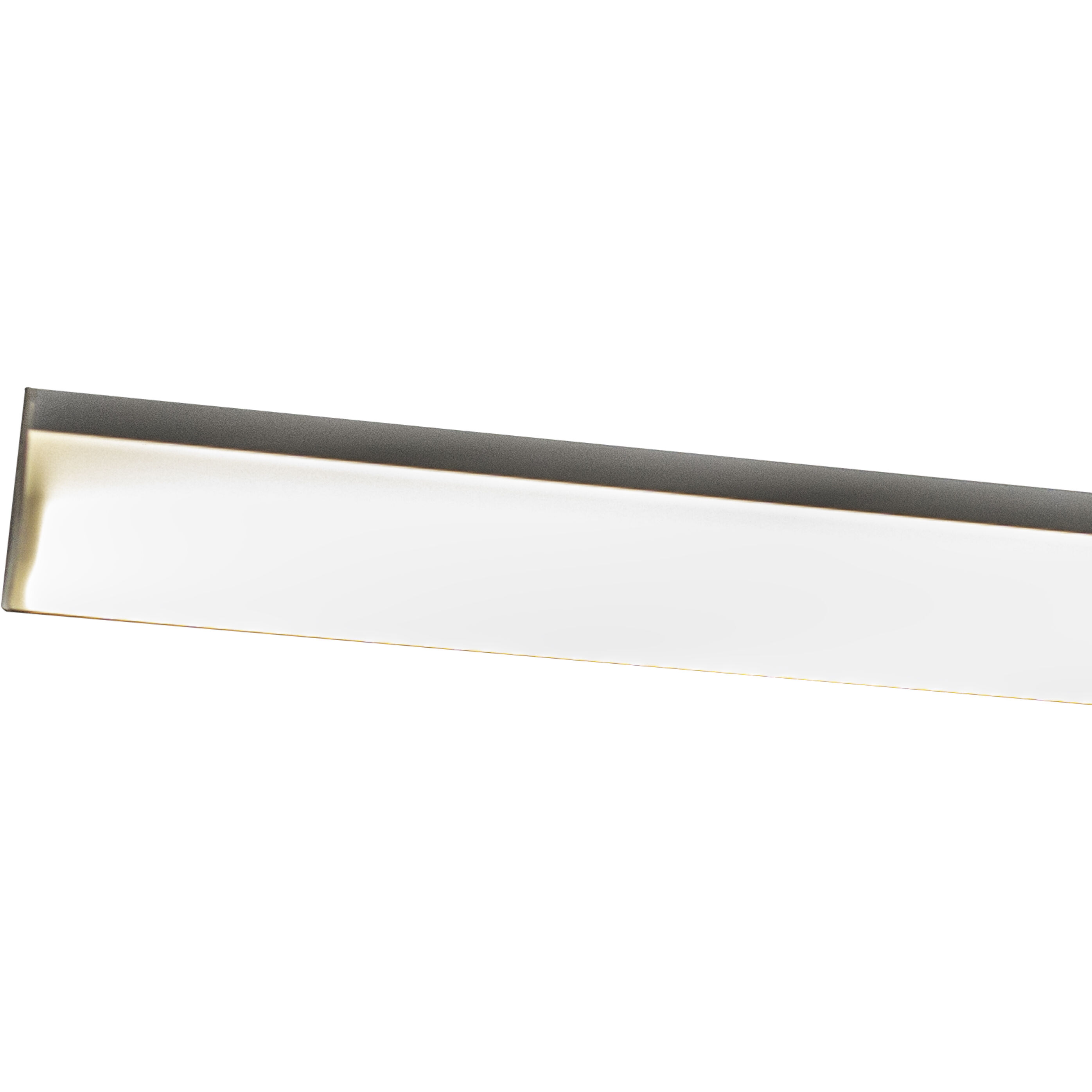 Utility LED 48 inch White Shop Light Ceiling Light