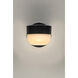 Michelle LED 5 inch Black Outdoor Wall Mount