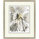 Gilded Petal Expansion Gray and Black and Metallic and Neutral Framed Art
