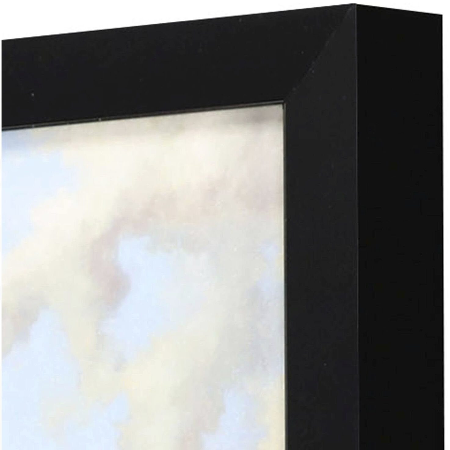 Animals 11 X 11 inch Non-Glass Framed Art, Propac