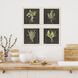 Rustic Herbs Green and Black and Neutral Framed Art, Propac