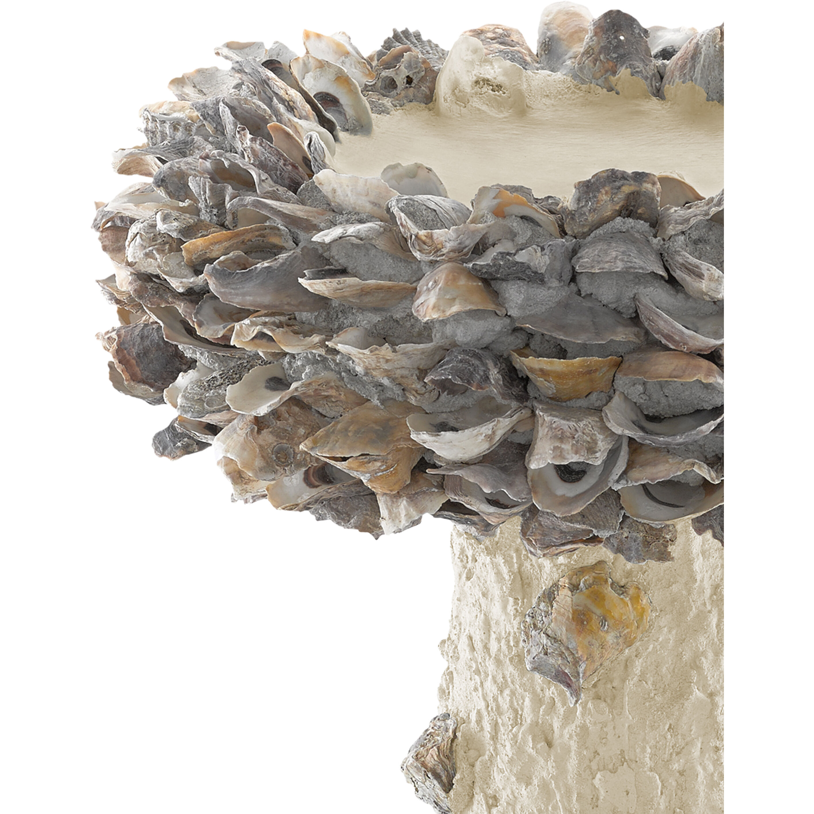 Oyster Shell Natural Bird Bath, Medium