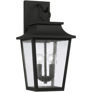 Chandler Outdoor Wall Lantern
