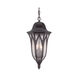 Milano 3 Light 9.00 inch Outdoor Pendant/Chandelier