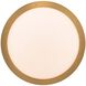 Cameron 1 Light 16.5 inch Brushed Champagne Brass Pendant Ceiling Light