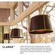 Clarke 1 Light 16.25 inch Warm Brass with Black Indoor Chandelier Ceiling Light