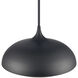Alice 1 Light 16 inch Matte Black Pendant Ceiling Light