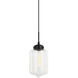 Irresistible Organic Charm 1 Light 7.13 inch Clear Pendant Ceiling Light
