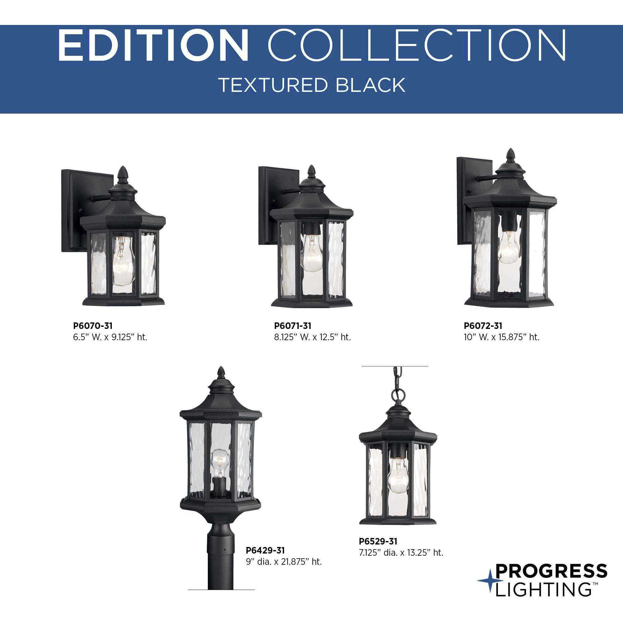 Edition 1 Light 7 inch Textured Black Outdoor Hanging Lantern