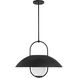 Lehigh 1 Light 22 inch Matte Black Pendant Ceiling Light